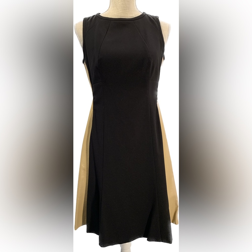 Lauren Ralph Lauren Sleeveless Size 6 Sheath Dress